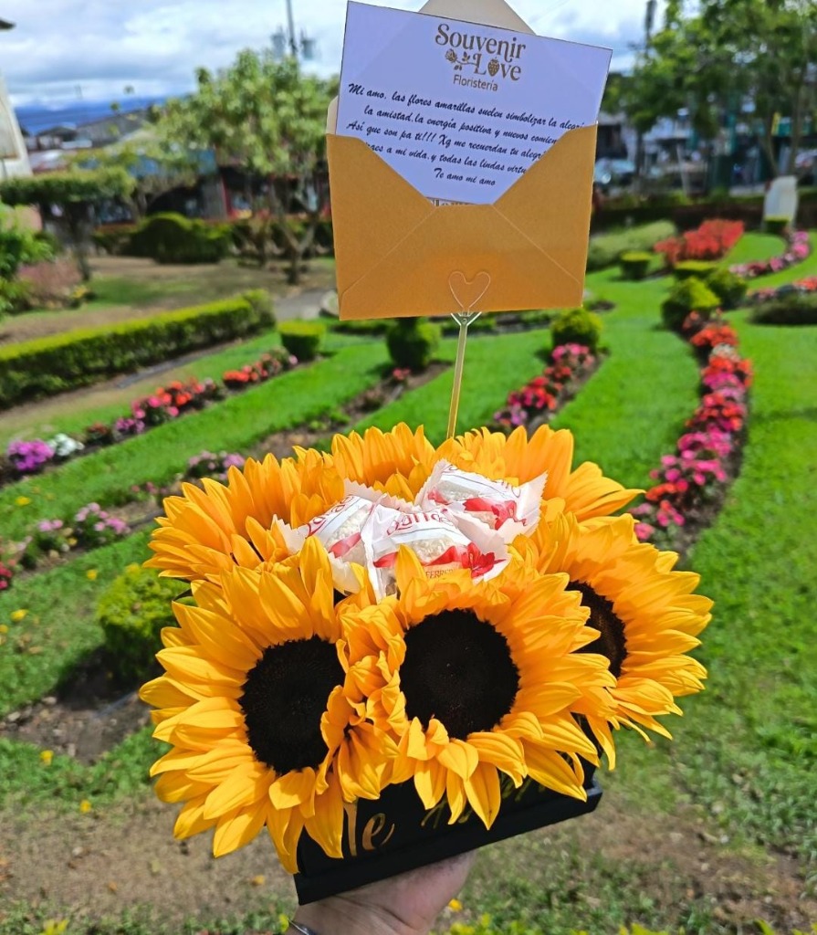 Caja de Girasoles & Carta de Amor