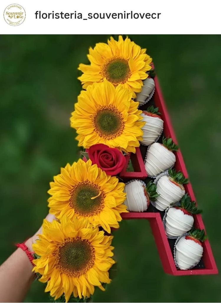 Letra Personalizada Girasoles & Fresas